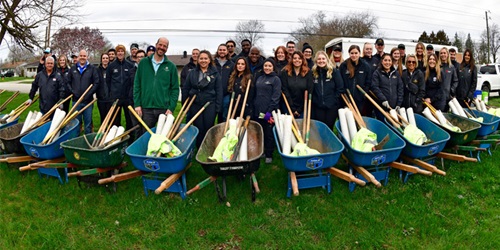 Employees with wheelbarrows and shovels to help plan trees